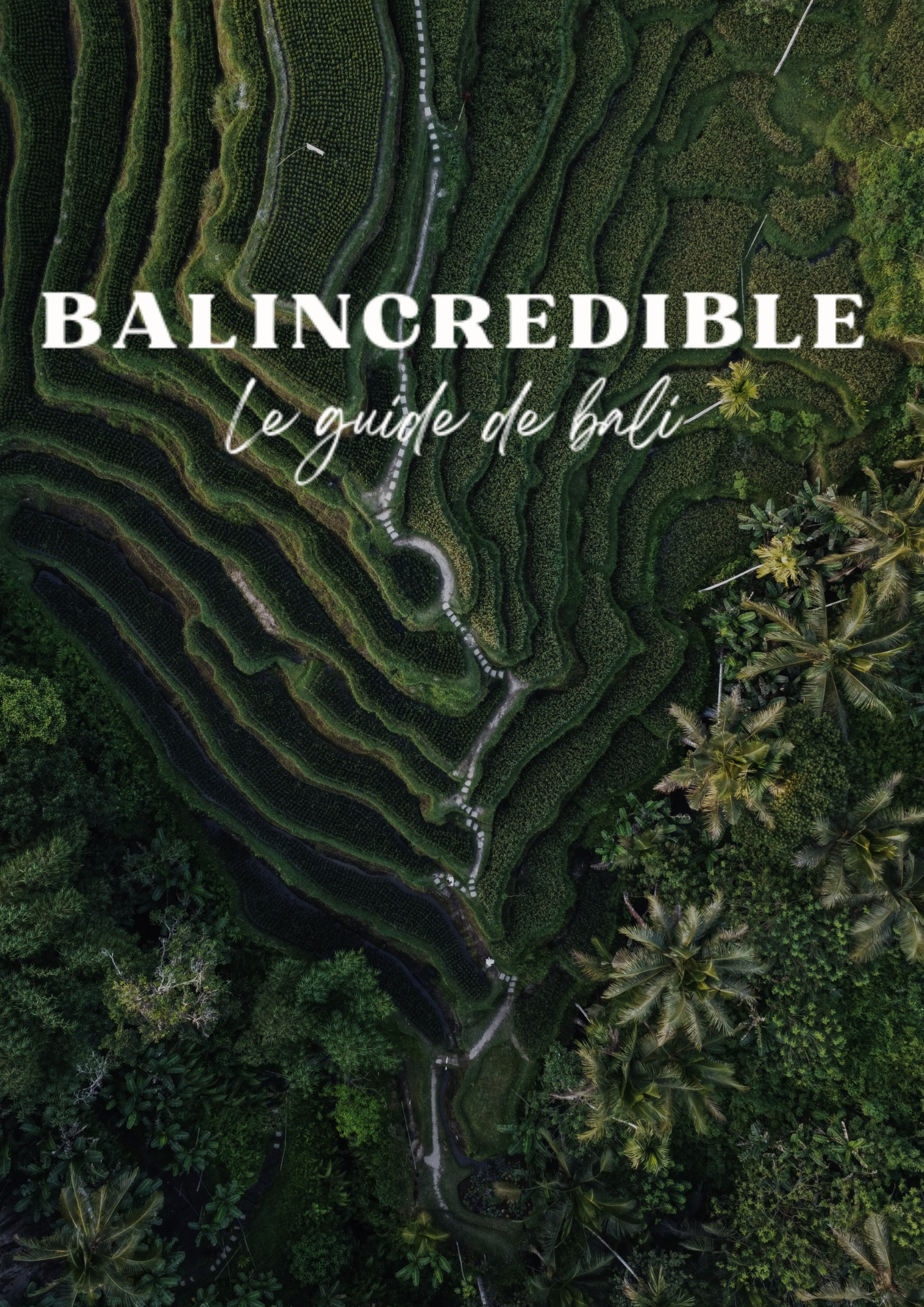 Package Bali Guide + Bali Google Map